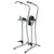 True Fitness Line Knee Raise / Dip / Chin Station (FS - 23) - Top Fitness Store